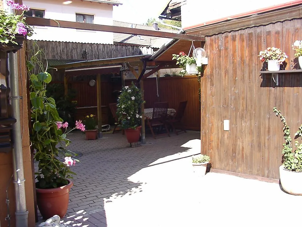 Haus Moser Wildensee Apartment